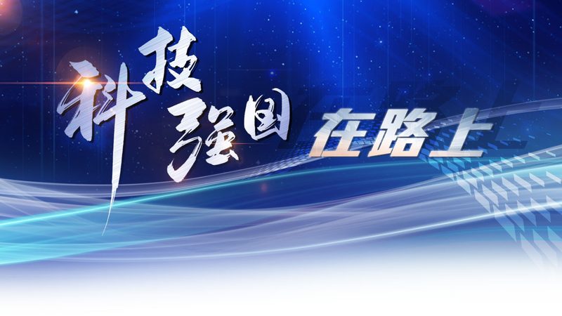 数据治理生命周期管理指标：关键要素与实施策略