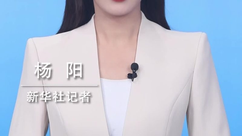 中小企业如何构建高效的数据中台系统
